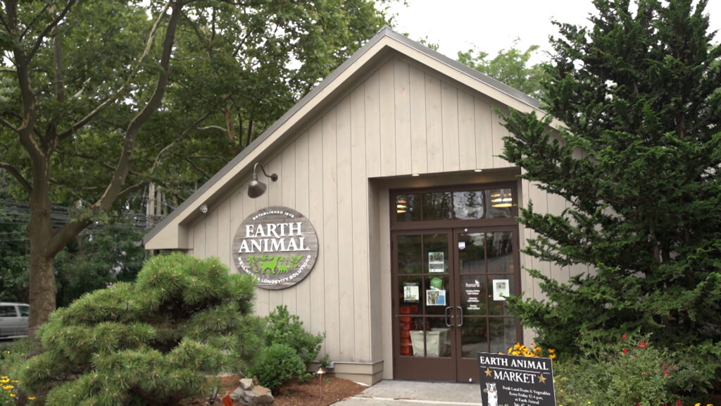 Exploring Healthier Dog Foods and Treats